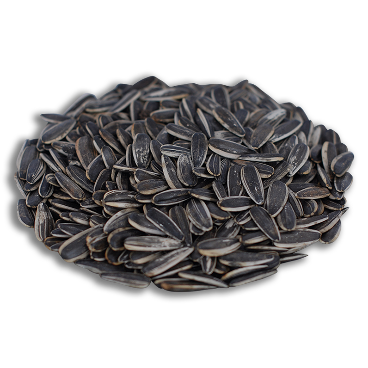 Siyah Tuzsuz Ay Çekirdeği 1000 gr