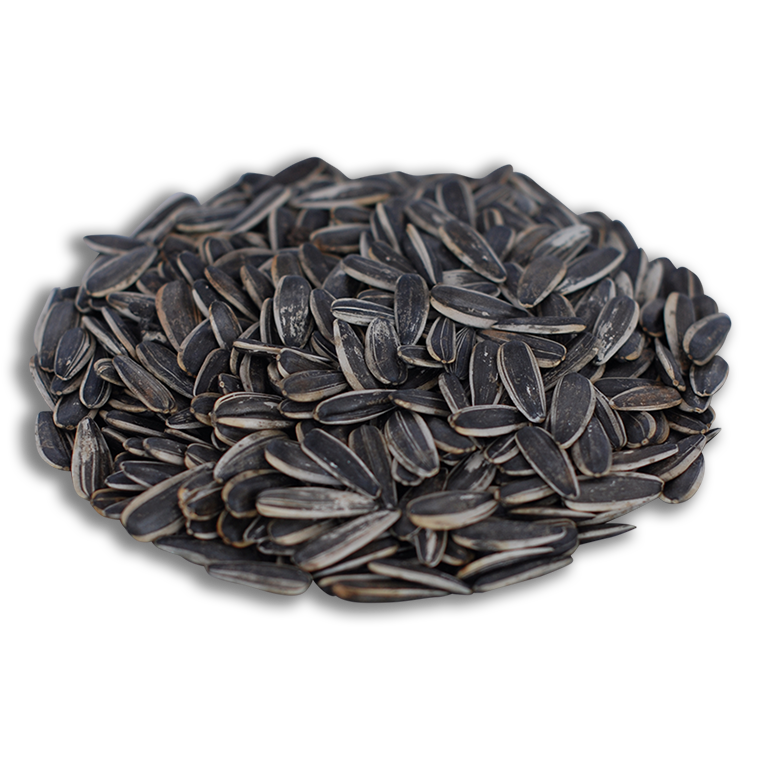 Siyah Tuzsuz Ay Çekirdeği 500 gr