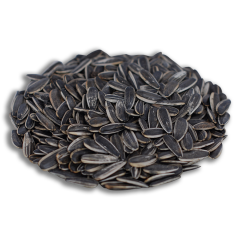 Siyah Tuzsuz Ay Çekirdeği 500 gr