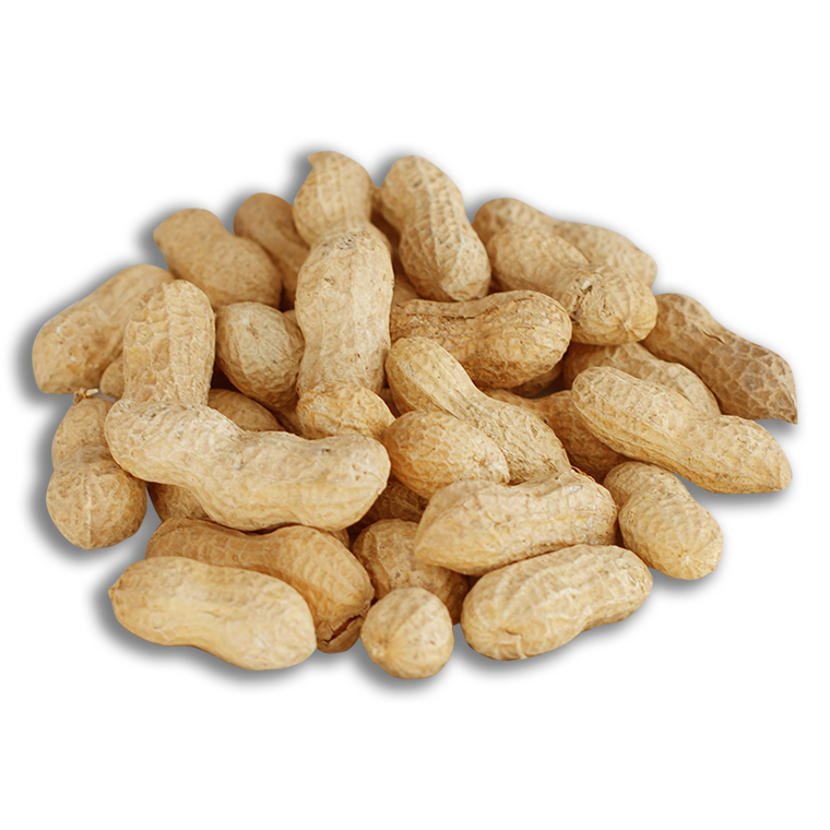 Yer Fıstığı Kavrulmuş Kabuklu 500 gr