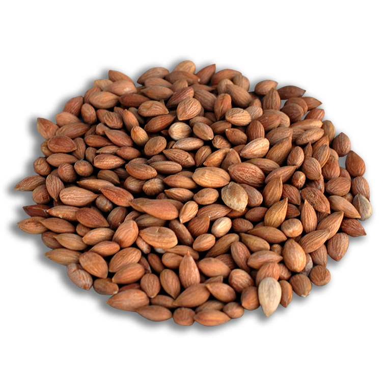 Kayısı Çekirdeği / Güneşte Kurutulmuş 250 gr