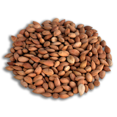 Kayısı Çekirdeği / Güneşte Kurutulmuş 250 gr