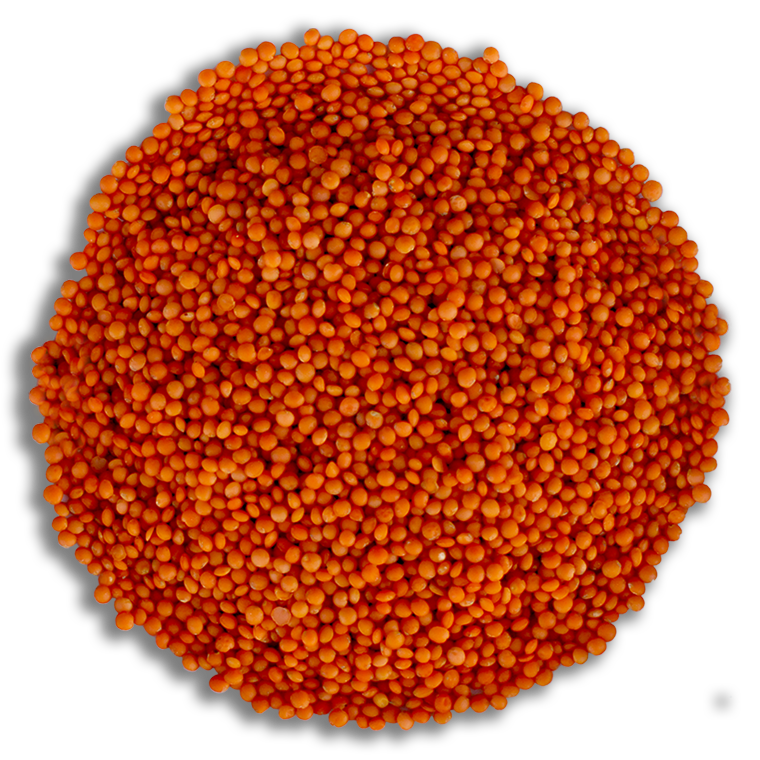 Berceste Kırmızı Mercimek 1 Kg