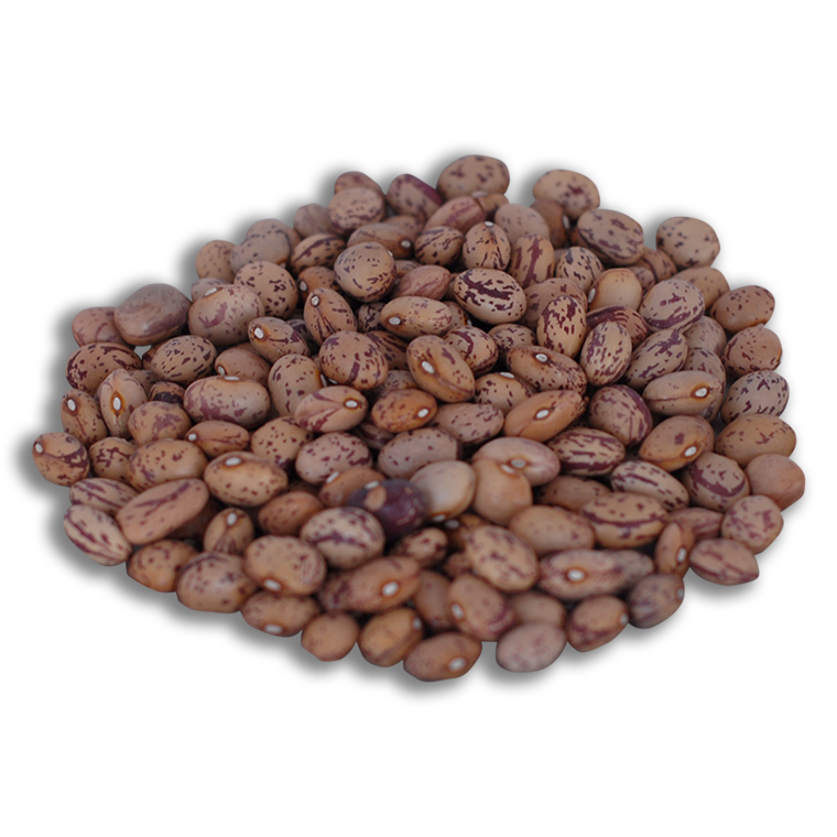 Barbunya Fasülye - Yeni Mahsül 1 Kg
