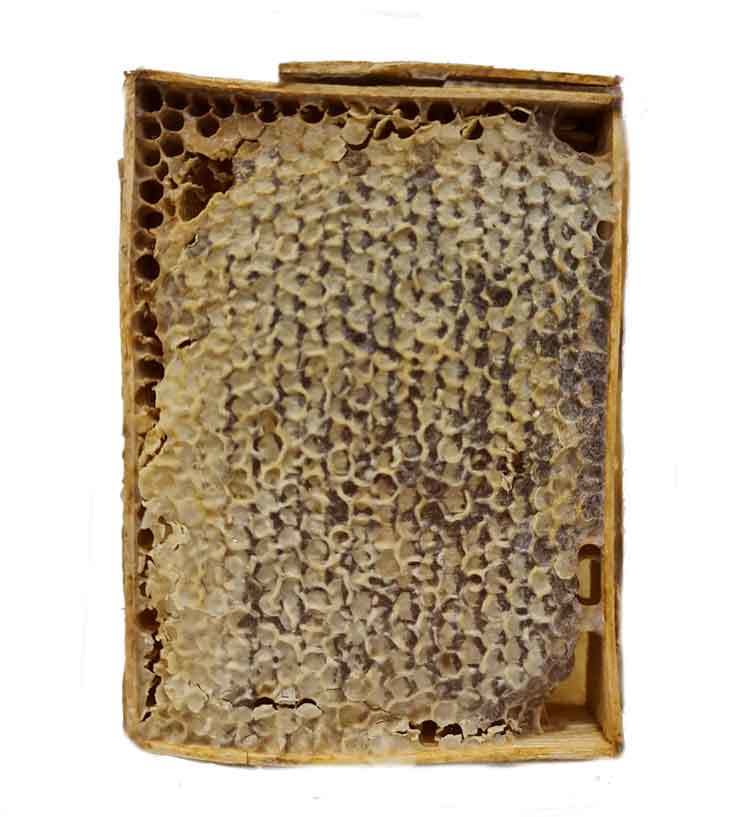 Berceste Petekli Çiçek Balı 400 Gr