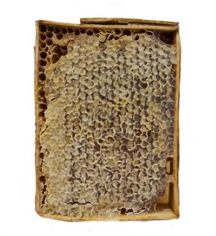 Berceste Petekli Çiçek Balı 400 Gr