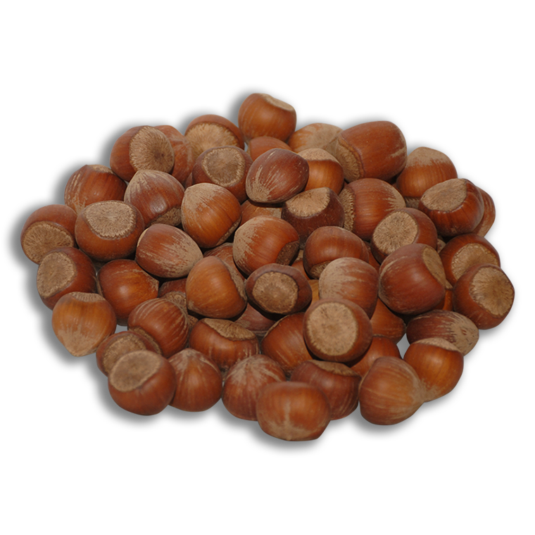 Natural Kabuklu Fındık ( Foça Fındık) 500 gr