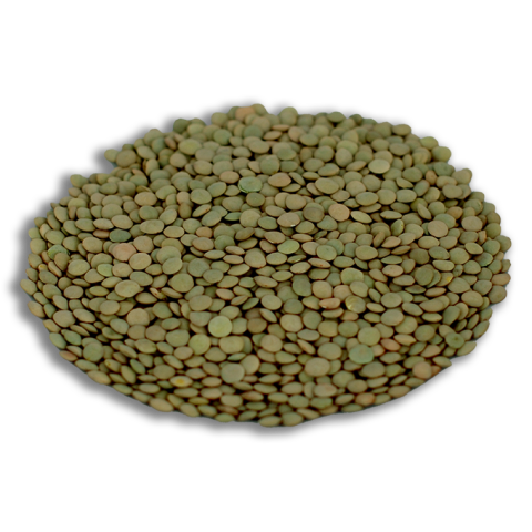 Berceste Yeşil Mercimek 1 Kg