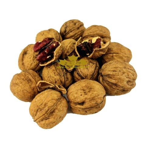 Kabuklu Nar Cevizi 500 gr