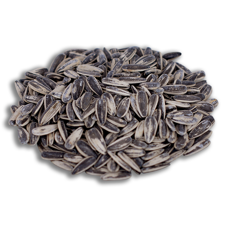 Siyah Tuzlu Ay Çekirdeği 500 gr