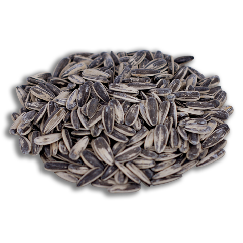 Siyah Tuzlu Ay Çekirdeği 500 gr